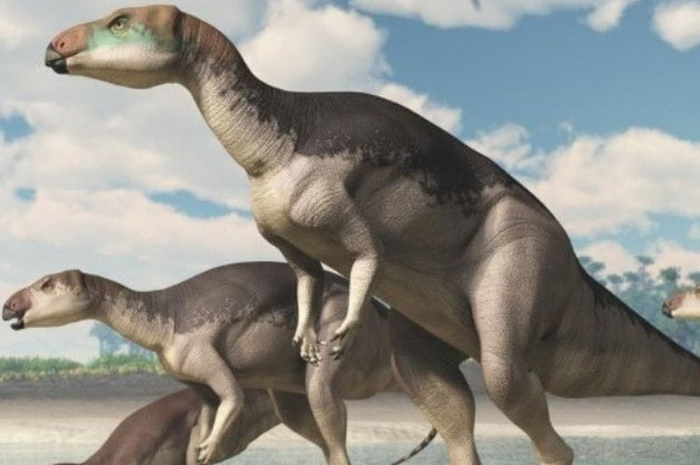 Dinosaurus punah 66 juta tahun yang lalu.