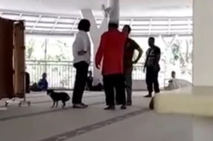 Wanita bawa anjing masuk ke dalam masjid. 