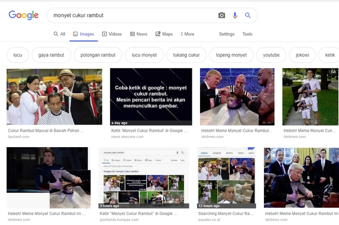 hasil pencarian google monyet cukur rambut