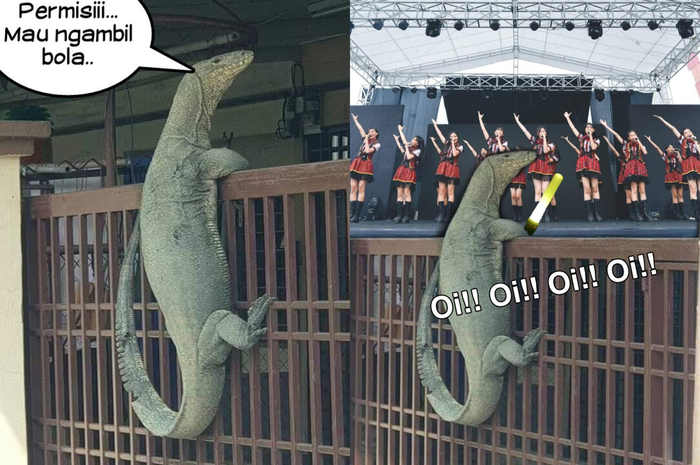 Meme-meme kocak biawak. 