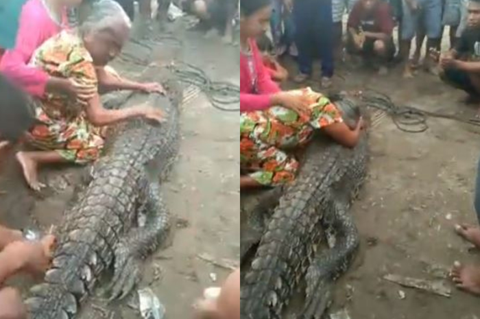Nenek Samiasa menangisi buaya yang dibunuh warga di desanya. 