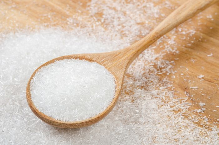Monosodium glutamat (MSG) alias Micin