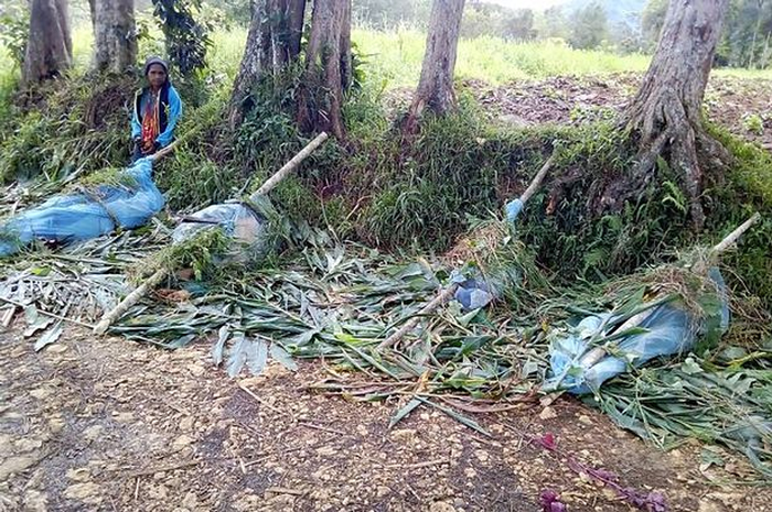 Dua wanita hamil dan banyak anak termasuk di antara 24 orang yang menjadi korban dalam pembantaian suku tersebut. 