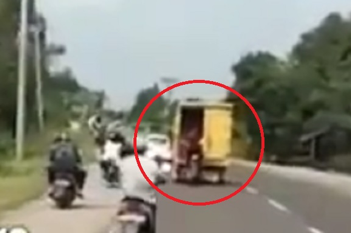 Kawanan bajing loncat beraksi