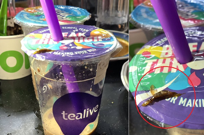 Kecoak yang ditemukan dalam minuman bubble tea bermerek Tealive