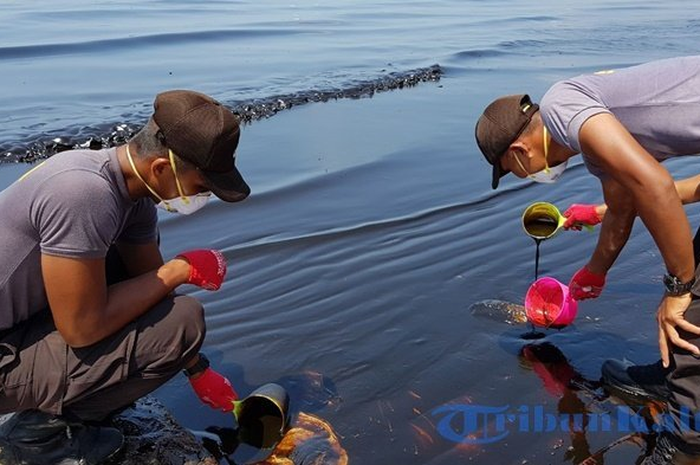 Sebanyak 259 aparat keamanan dikerahkan membersihkan tumpahan minyak di sepanjang Pantai Monpera hingga Pelabuhan Semayang, Senin (2/4/2018)