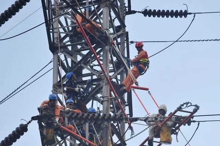 Ilustrasi petugas PLN