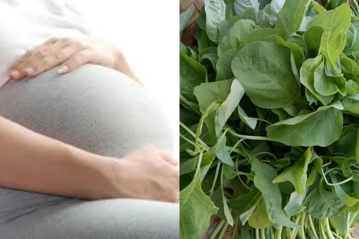 Bayam juga merupakan makanan super dan melimpah dengan banyak nutrisi, vitamin, mineral, zat besi dll yang baik untuk ibu dan bayinya.