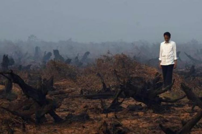 Presiden Joko Widodo berada di tengah area hutan gambut yang rusak dan hangus saat melakukan inspeksi kebakaran hutan di Banjarbaru, Kalimantan Selatan.