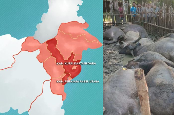 Sinto Riono Habeahan (27), seorang warga yang tewas bersama 19 ekor kerbau yang berada di kandang miliknya.