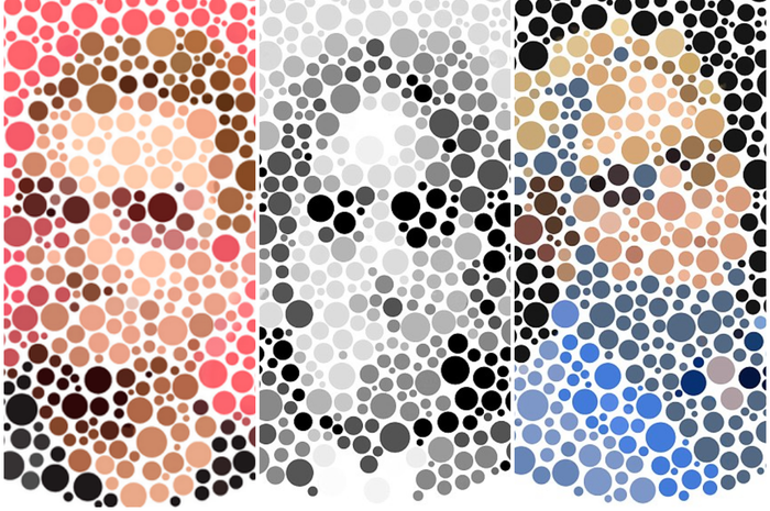 Isihara plate yang dibuat berisi gambar wajah tersembunyi dari orang-orang terkenal. Bila tidak bisa melihatnya, bisa jadi Anda buta warna.