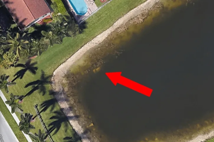 Ngeri, Jasad yang Hilang Selama 22 Tahun Akhirnya Ditemukan Lewat Google Maps