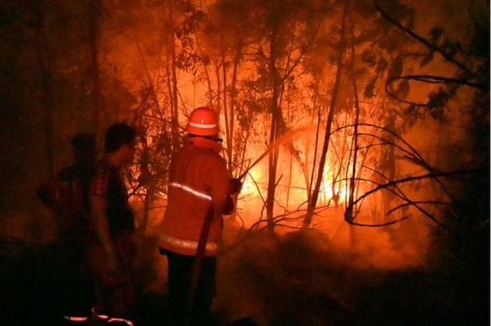 Sejumlah petugas pemadam kebakaran berupaya meredakan api yang melalap kawasan di Pekanbaru, Riau, Jumat (13/09).
