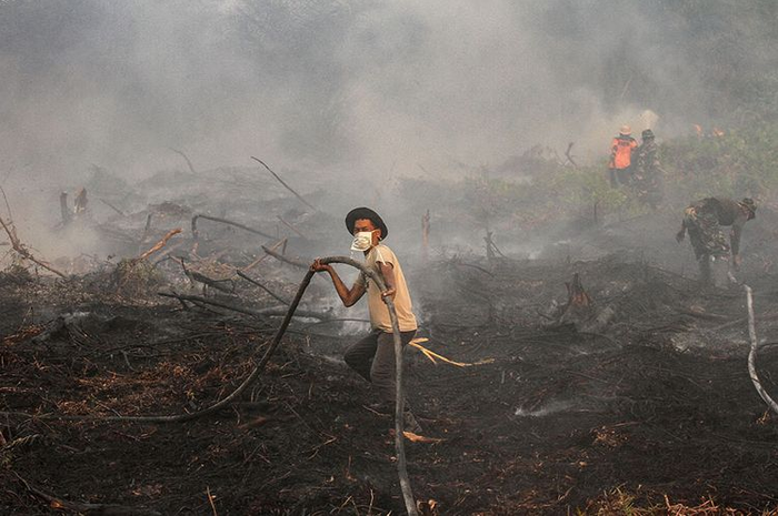 Lihatlah perjuangan para petugas demi padamkan kebakaran hutan yang sebabkan kabut asap.