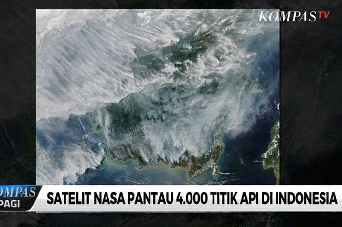 Begini Kondisi Karhutla di Sumatera dan Kalimantan Berdasarkan Pantauan Satelit