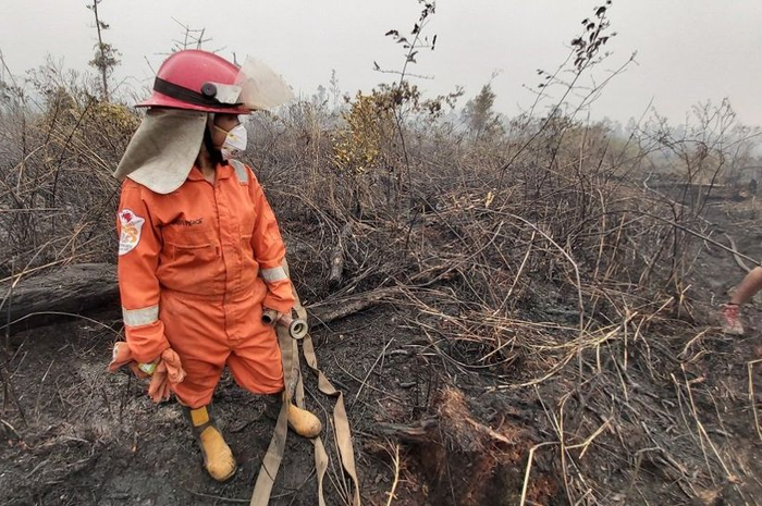 Sola Gratia Sihaloho (22) juga tak habis pikir dengan kebakaran hutan dan lahan yang terus menerus terjadi. 