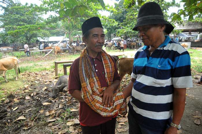 Foto dirilis Kamis (26/9/2019), memperlihatkan penjual dan pembeli melakukan tradisi 'Marosok' saat bertransaksi di Pasar Ternak, Sungai Sariak, Padangpariaman, Sumatera Barat. Ada tradisi turun-temurun di Minangkabau yang disebut Marosok, di mana penjual dan pembeli saling meraba menggunakan jari m