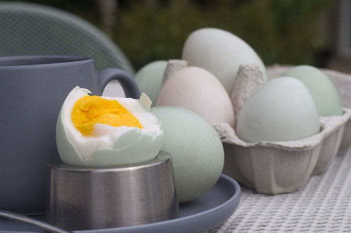 Manfaatkan telur bebek kuning dan gula agar tubuh tetap kuat untuk bertahan di tempat tidur bersama pasangan. Mau coba?