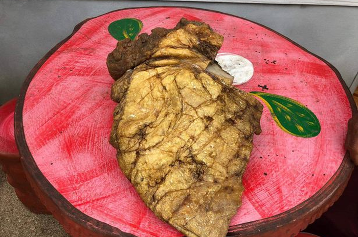 Nelayan ini mendadak kaya setelah menemukan 'kotoran termahal di dunia'. Apa yang sebenarnya ditemukan itu dan mengapa mahal?