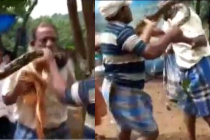 Detik-detik Seorang Pria Berhasil Diselamatkan dari Lilitan Ular Piton