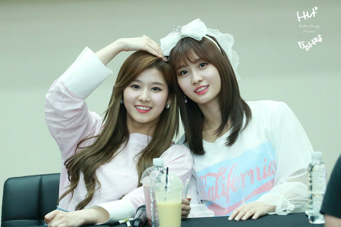 Sana & Momo 'TWICE'