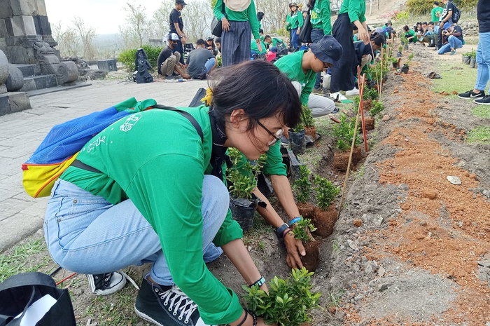 Para mahasiswa sedang menanam pohon