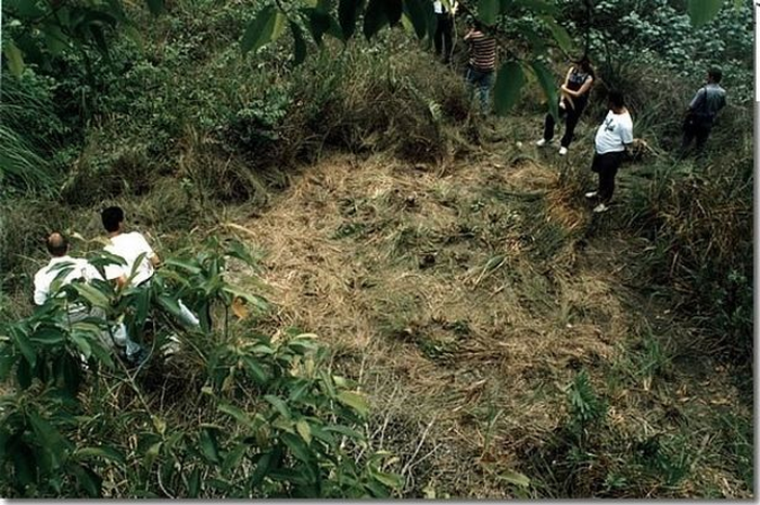 Foto-foto lama yang beredar baru-baru ini mengungkap sebuah tanda aneh dan rerumputan yang terbakar secara mencurigakan.