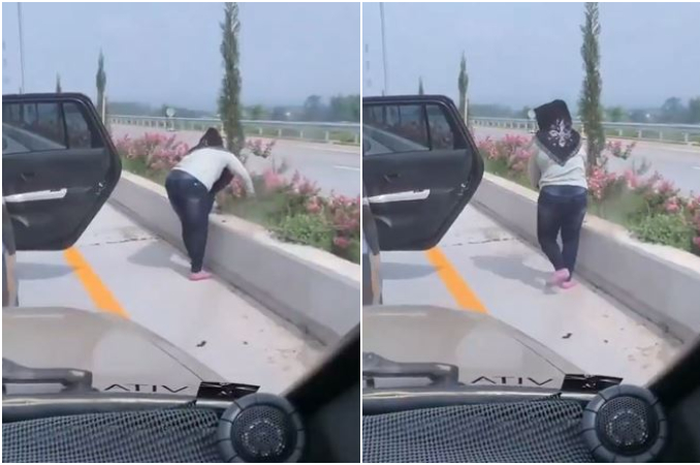 Video emak-emak cabut bunga di jalan