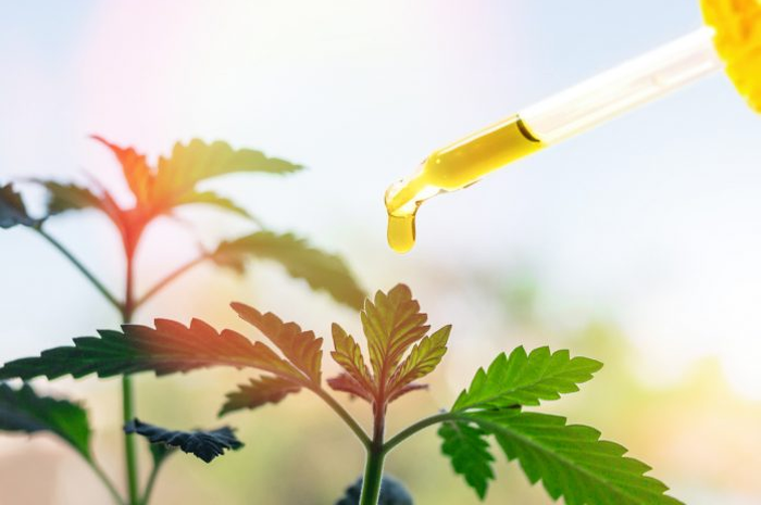 Hasil penelitian ini harus disikapi dengan kepala dingin bahwa yang dimaksudkan adalah senyawa yang terkandung di dalam ganja dan bukan ganja secara keseluruhan.