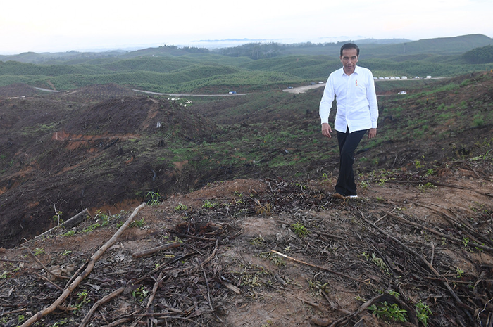 Presiden Joko Widodo meninjau lokasi rencana ibu kota baru di Sepaku, Penajam Paser Utara, Kalimantan Timur, Selasa (17/12/2019). Jokowi mengaku puas setelah meninjau lokasi tersebut yang nantinya akan dibangun kluster pemerintahan, termasuk Istana Kepresidenan.