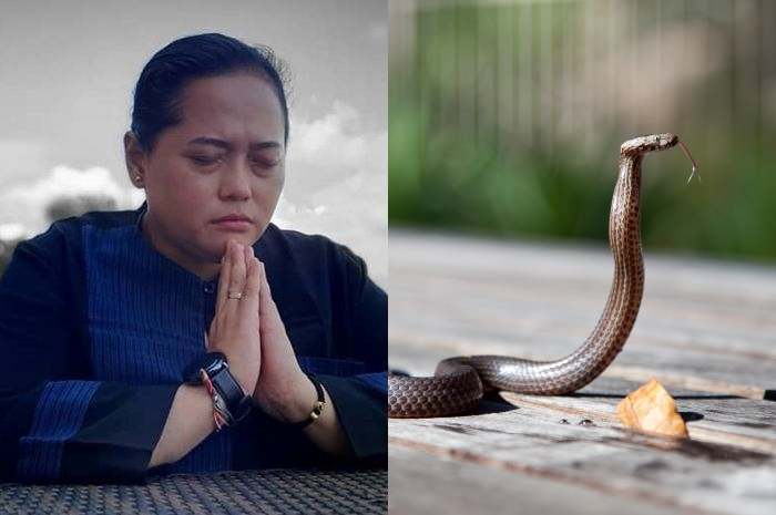 Mbak You dan ular