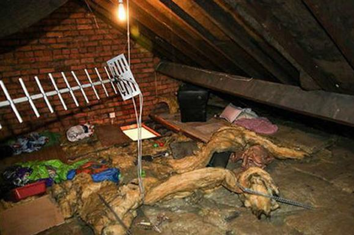 Kebenaran mengerikan di atas loteng rumah Tracy.
