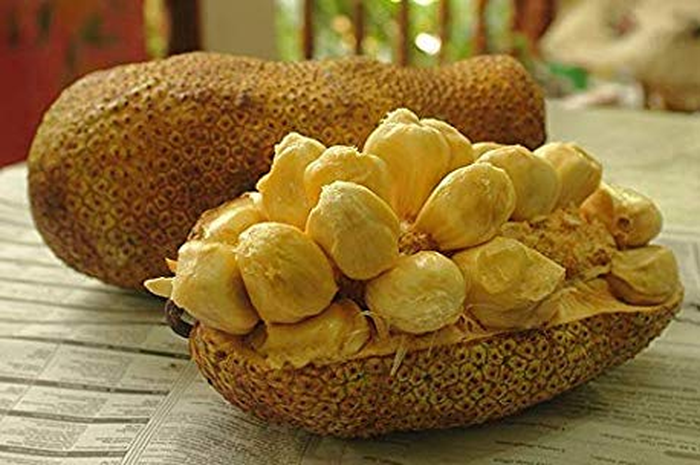 Lapisan luar buah berwarna hijau, tebal, kasar dan bermotif segi enam yang rata atau menonjol seperti kulit Nangka.
