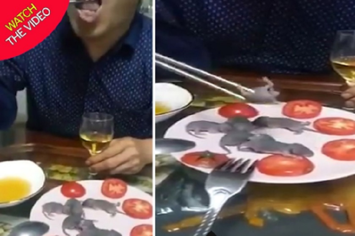 Sebuah video menjijikkan telah muncul tentang seorang pria yang memakan bayi tikus hidup menggunakan sumpitnya.