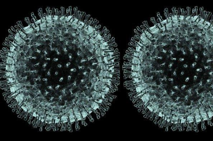 (ilustrasi) Virus Corona