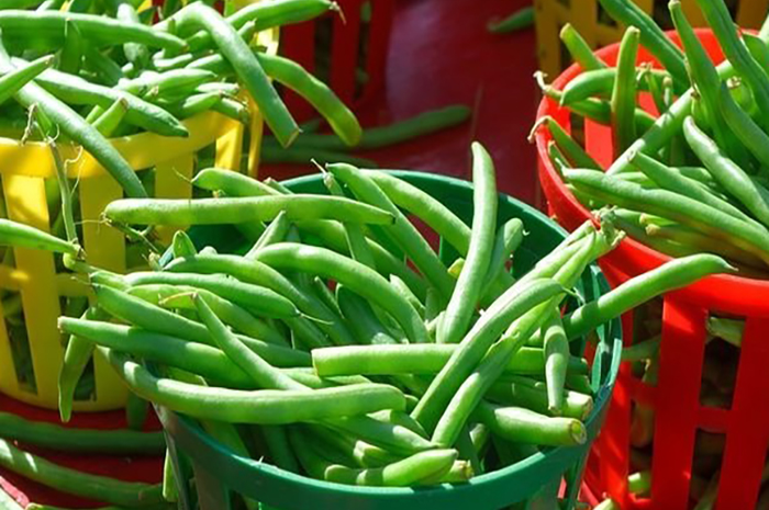kacang panjang punya banyak manfaat bagi kesehatan