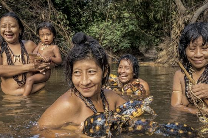 Ilustrasi suku wanita Amazon : Perempuan suku terlihat mandi dengan dan mencuci kura-kura peliharaan mereka. 