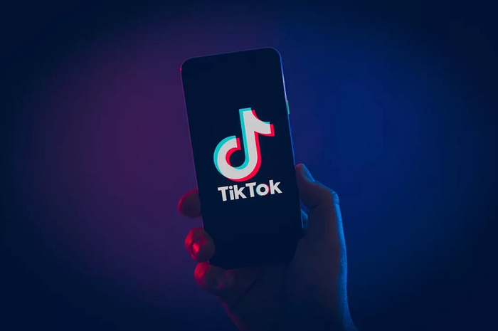 Ilustrasi TikTok