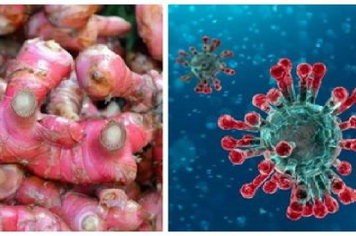 Khasiat jahe merah dalam menangkal virus corona