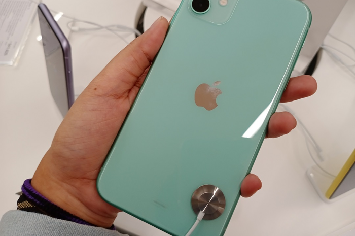 iPhone 11 warna hijau.