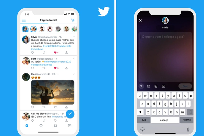 Fitur Fleets di Twitter