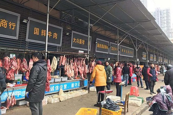 Kasus virus corona pertama kali ditemukan pada akhir tahun 2019 di Wuhan, China. Kini virus itu kembali ke China.