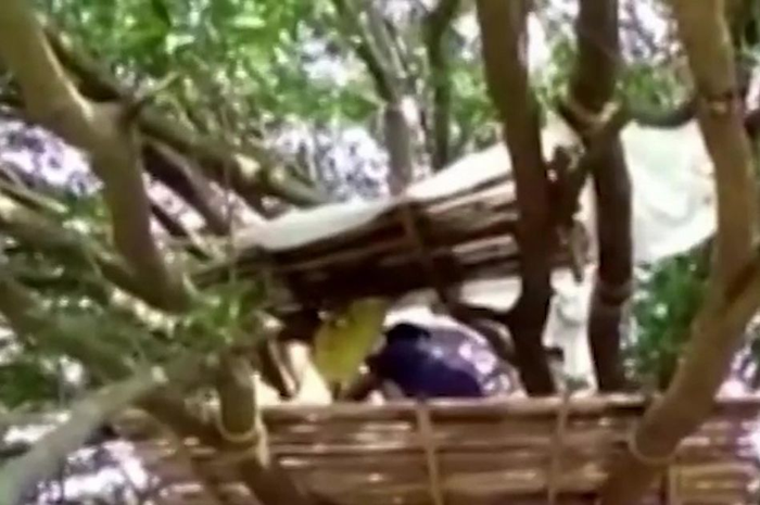 Mereka memindahkan tempat tidur, ke cabang pohon untuk menjaga jarak aman keluarga mereka dengan tetangganya.