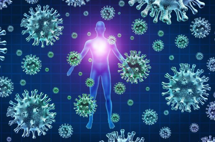 Banyak yang Berharap pada Vaksin, Faktanya Justru Antibodi yang Terbukti Efektif Memblokir Virus Corona Menembus Sel Tubuh