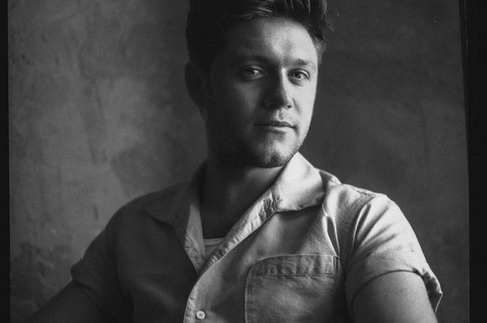 Biodata Artis Niall Horan