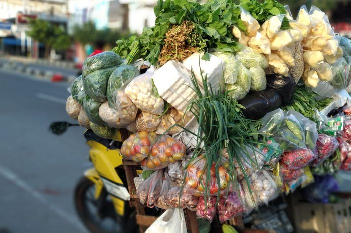 Tukang sayur ini ngaku bosan hingga kepincut janda cantik karena sang sitri tak bisa dandan cantik puaskan dirinya 