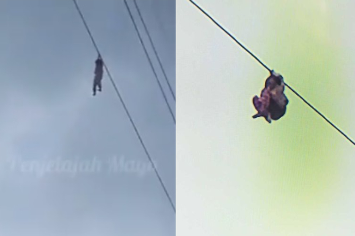 Viral bocah Tangerang gelayutan di kabel sutet