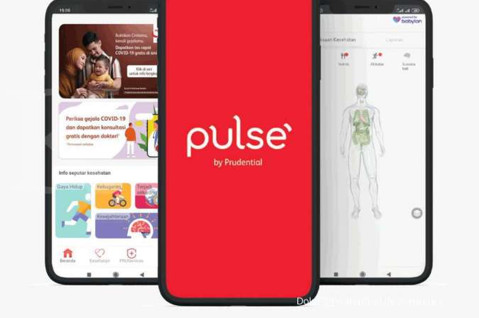aplikasi Pulse.