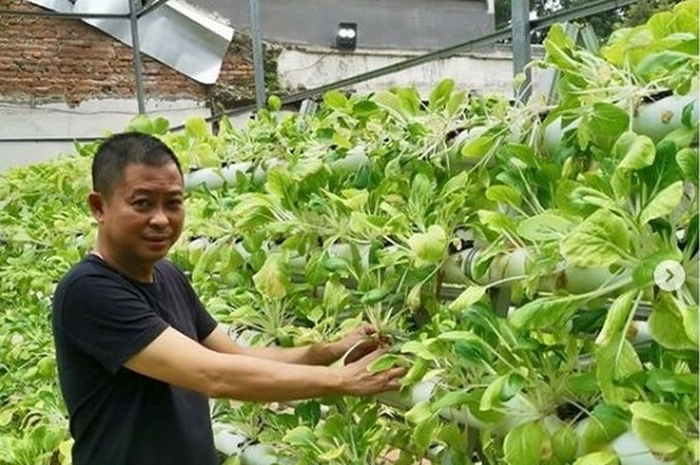 Jonan dan kebun hidroponik di rumahnya.