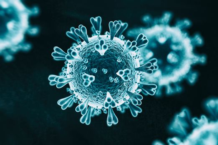 Julur-julur virus corona